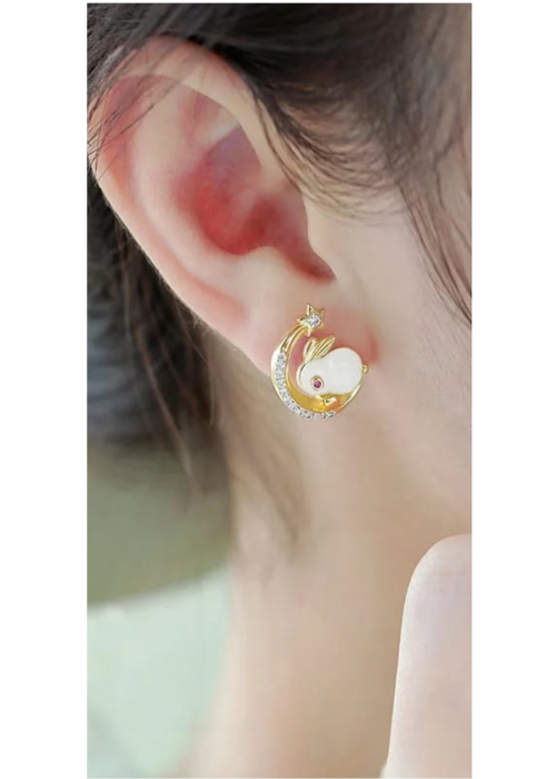 Amazing Korean Jewelry For Women (DESIGN 1201)