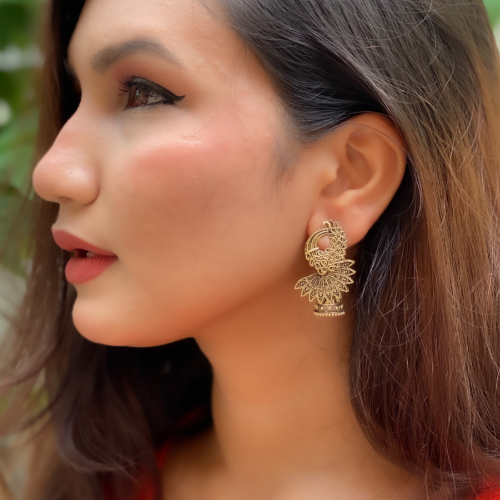 Afgani German Silver Oxidized Jhumki Earrings for Women (DESIGN 200)