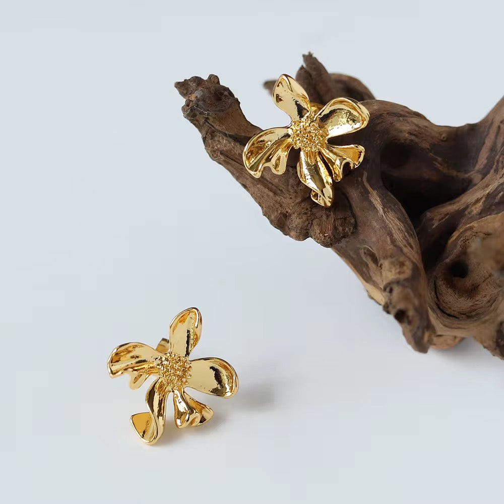 Amazing Korean Jewelry For Women (DESIGN 1728)